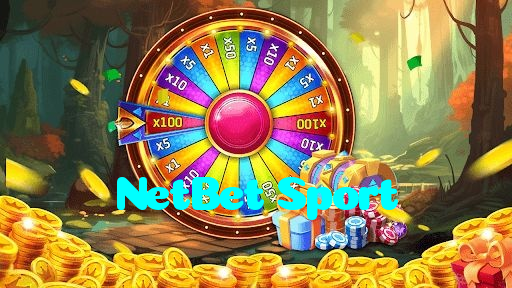 available types of NetBet Sport bet including pre-match live express and system bets